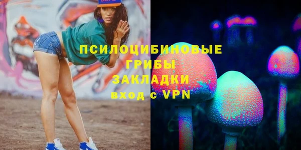 Альфа ПВП Алзамай