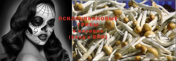 Альфа ПВП Алзамай