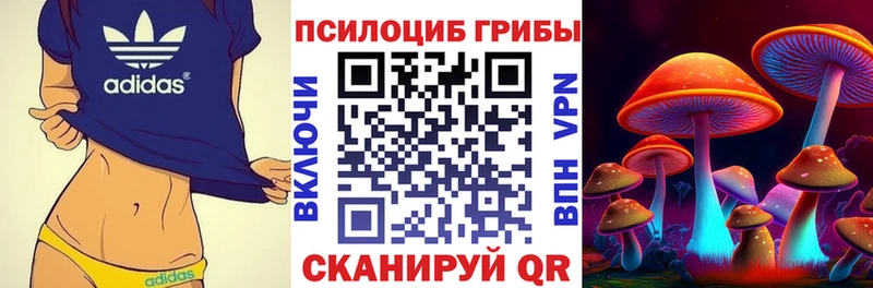 цена Тавда KRAKEN ссылка Псилоцибиновые грибы MAGIC MUSHROOMS