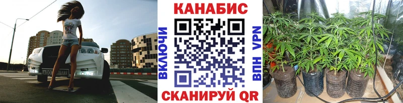 Конопля ГИДРОПОН  Тавда 